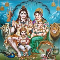 S.Gayathri S.Gayathri