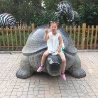 张怡悦