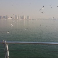 Davood Mzn