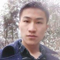 张洪力