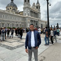 hesam ansari