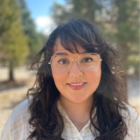 Erica Ariza, Lcsw