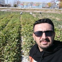 Harun Alakir