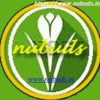 Nubuds India