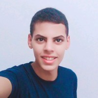 Hassan Mohy Eldeen Waer