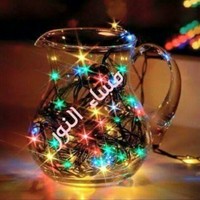 abu firasy