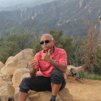 Ramesh J Parmar