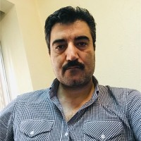 Mj Samimi