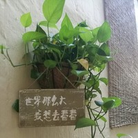 李永花