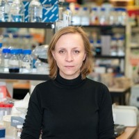 Anna Maria Ochocka-Fox