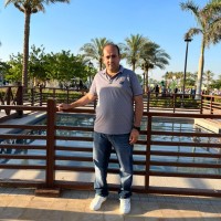 Ramy Saif