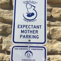 Curtis McQueen