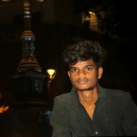 Raja Krishnan