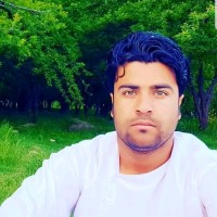 Hamid Ullah