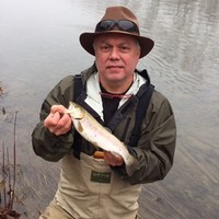 Brad Taylor