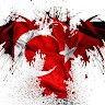 Okan Ç.