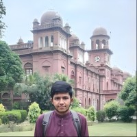 Hamza Rauf