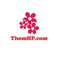 Nước Hoa Hải Phòng