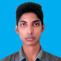 Md Abdul Hasib Sharkar