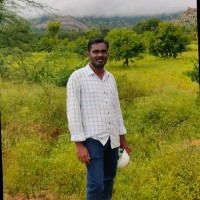 Balaji Paramasivam