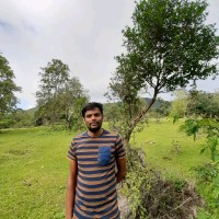 Raghavendra Dynamics