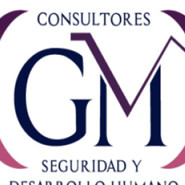 GM CONSULTORES SEGURIDAD Y DESARROLLO HUMANO