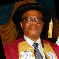 Ibikunle S. Ogunbayo