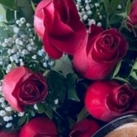 Rosa Calandra
