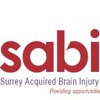 Surrey ABIN