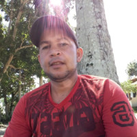Walliston Silva