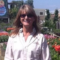 Kimberly Sterling