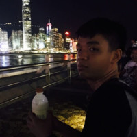 潘志炜