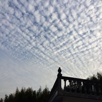 万山红叶
