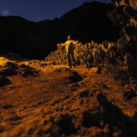 Oriol Collell Escudé