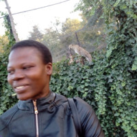 Judith Toloyi
