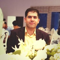 Ahmed Loay