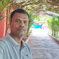 Naveen N
