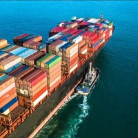 trust India Export