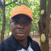 Gérald N'Guessan N'Guessan