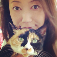 misako shimizu