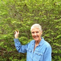 Lou Ann Nichols