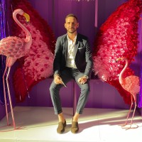 Stefano Crivellari