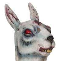 Sam Stone