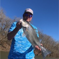 David Bass