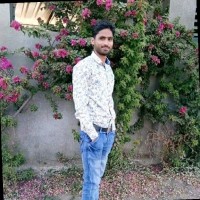 Amar W