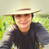 Heliodora Zaponi