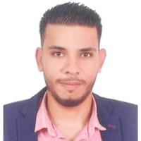 Amr A.