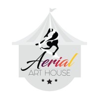Aerial Art House