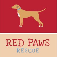Red Paws Rescue