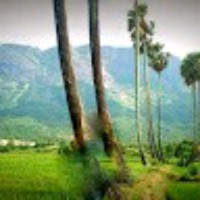 Ramesh Kumar